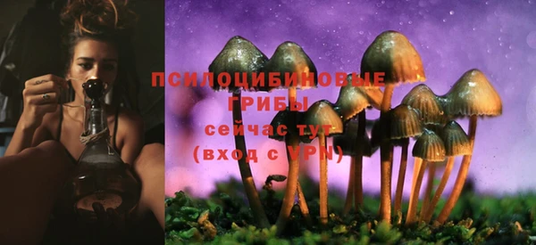 МДПВ Абдулино