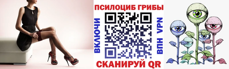 где продают   МЕГА ссылки  Псилоцибиновые грибы мухоморы  Грязи 