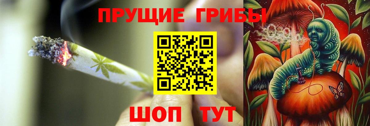 Псилоцибиновые грибы GOLDEN TEACHER  Псилоцибиновые грибы GOLDEN TEACHER  что такое   Вход с VPN  Грязи 